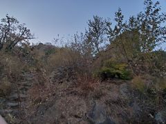 -北京鹫峰国家森林公园