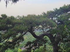 -北京西山国家森林公园