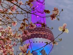 -东方明珠广播电视塔