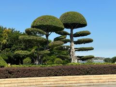 -厦门园林博览苑