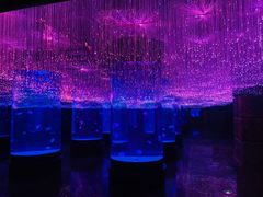 -波塞冬旅游度假区