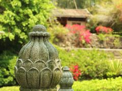 -深圳国际园林花卉博览园