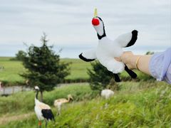 -黑龙江扎龙生态旅游区