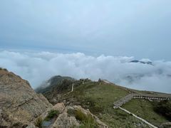 -白草畔自然风景区