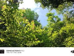 -宁波市保国寺古建筑博物馆