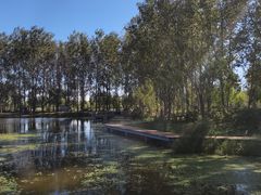 -东郊湿地公园