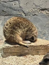 -Zoolung Zoolung动物主题公园(海信广场店)