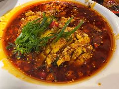 口水鸡-小四川菜馆(托乐嘉店)