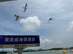 -海驴岛(荣成市)