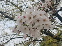 -巴黎贝甜(印象城店)