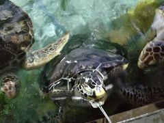 -福州罗源湾海洋世界旅游区