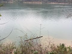 -羚羊峡古栈道森林公园