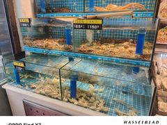 -鲜鲜·鲅鱼圈海鲜(于洪店)