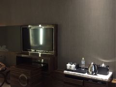 电视-北京园博大酒店