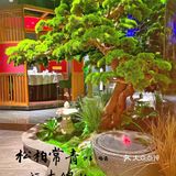 从北城吃到南城,家宴首选🥂美味依旧,举杯尽欢