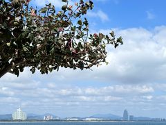 -三亚蜈支洲岛旅游区