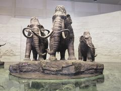 -大庆市博物馆