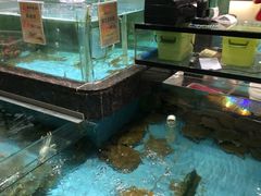 -西贝海鲜汇(槐安路店)