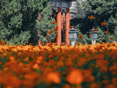 -北海公园
