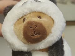 -首开·龙湖成都西宸天街