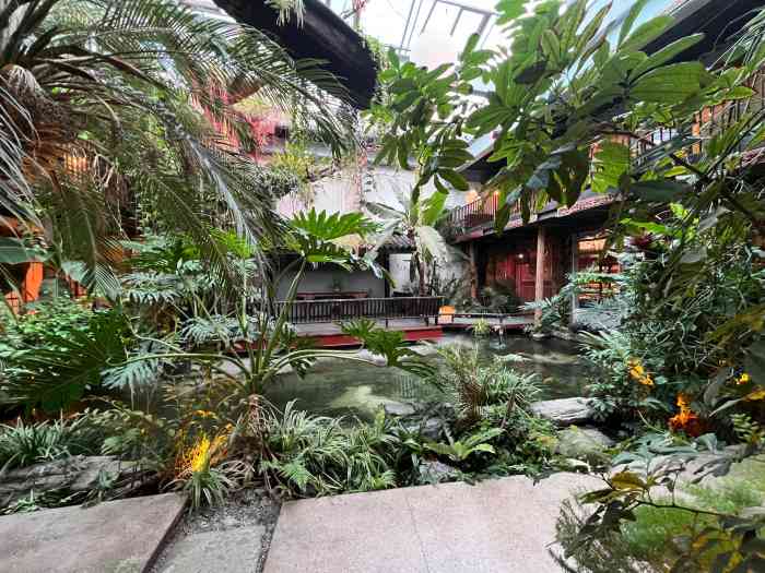 "-大众点评移动版