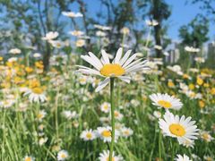 -昆山城市生态森林公园