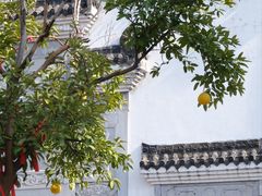 -古德寺