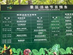 -呀诺达热带雨林