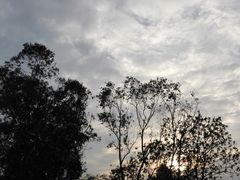 -火炉山森林公园