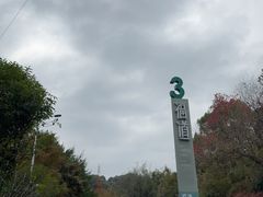 -福道