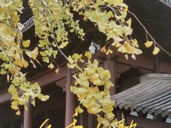 -钱王祠