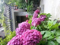 -亦缘居私家别院