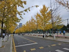 -东北大学(南湖校区)