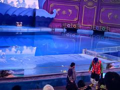 -横店影视城梦幻谷园区