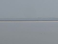 -观潮胜地公园