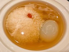 雪绒豆腐炖鸽蛋-扬州香格里拉·香宫中餐厅