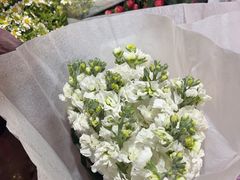 -循礼门鲜花花市(武汉循礼门店)