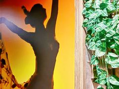 -雀舞云南菜(天津天河城购物中心店)