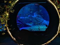 -沈阳海洋探索中心