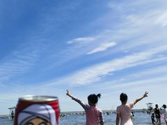 -碧海金沙