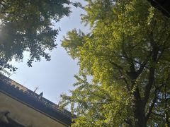 -高淳老街