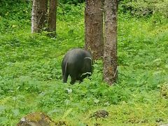 -硗碛藏寨·神木垒景区