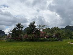-靖西鹅泉风景区