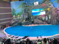 -珠海长隆海洋王国