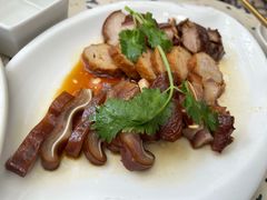 -MR鹅外