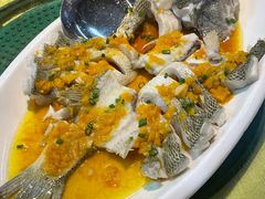 -新高记·粤菜·湛江鸡(南头古城店)