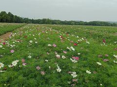 -山明水秀大饭店