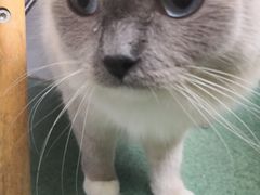 -东方动物医院·宠保定点·骨科·转诊中心(春城路·昆明站分院)