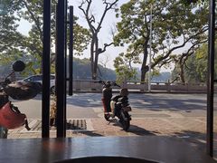 -谢怀亮芝麻茶