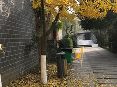 -白马涧龙池景区